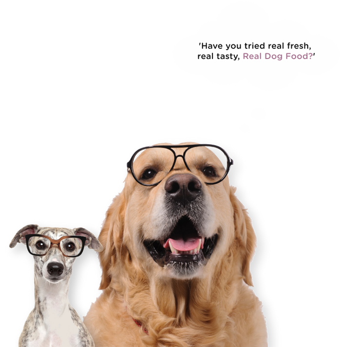 Online dog food deals nz